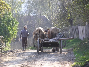 Klimatsmart rumänsk bonde på väg in i EU