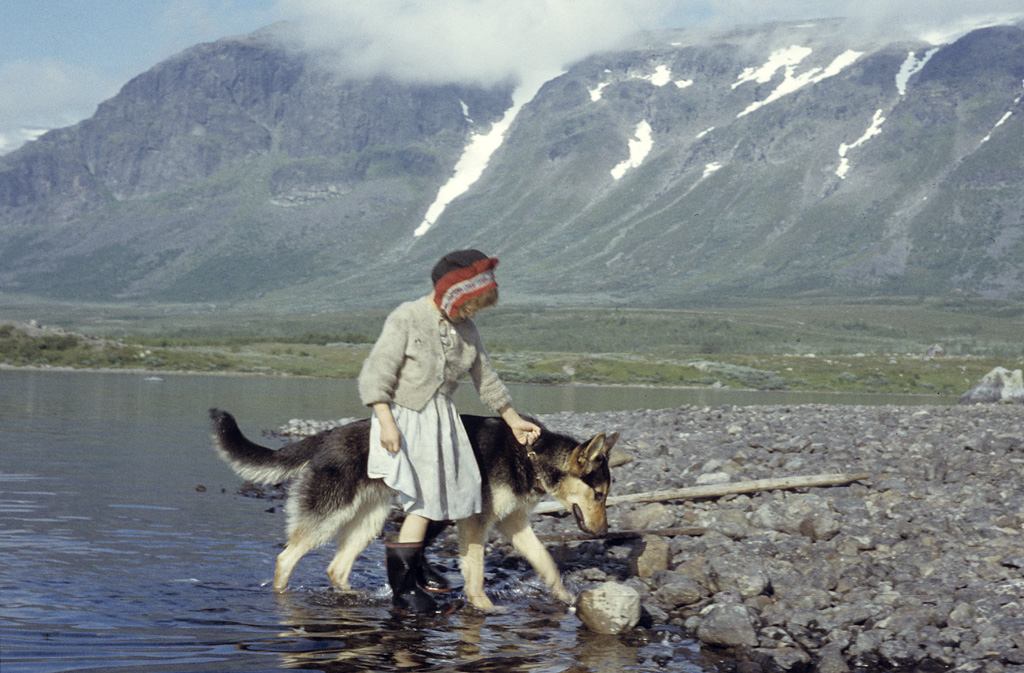 Girl with dog at the shore of lake Satisjaure (Satihaure) in Lapland. Photo: Björn Allard, 1958.