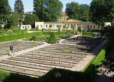 Linnés trädgård med orangeriet i bakgrunden. Foto: Catrin Rigefalk