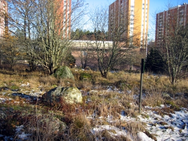 Skålgropsstenen i Akalla med husen vid Sibeliusgången i bakgrunden